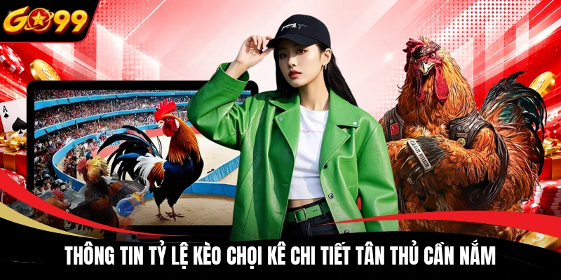 Thông tin tỷ lệ kèo chọi kê chi tiết tân thủ cần nắm